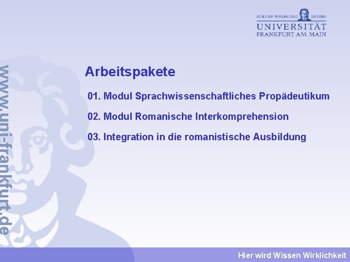 Arbeitspakete 01. Modul Sprachwissenschaftliches Propädeutikum 02. Modul Romanische Interkomprehension 03. Integration in die romanistische