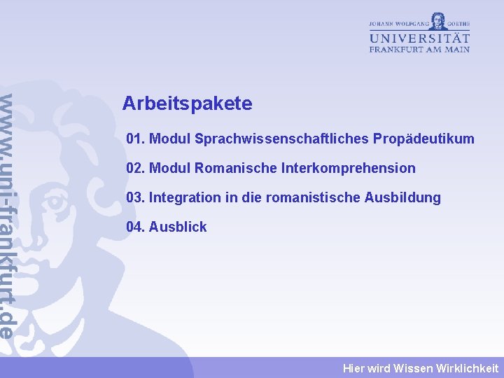 Arbeitspakete 01. Modul Sprachwissenschaftliches Propädeutikum 02. Modul Romanische Interkomprehension 03. Integration in die romanistische Arbeitspakete 01. Modul Sprachwissenschaftliches Propädeutikum 02. Modul Romanische Interkomprehension 03. Integration in die romanistische