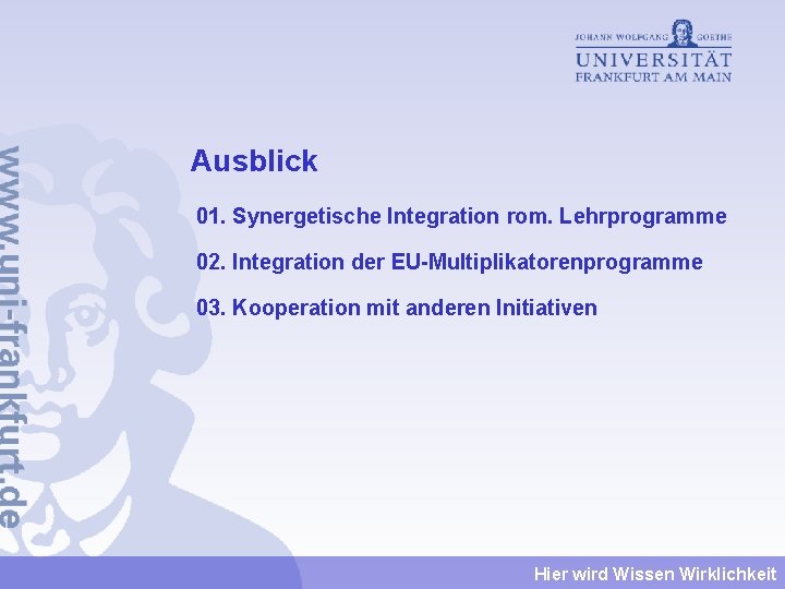 Ausblick 01. Synergetische Integration rom. Lehrprogramme 02. Integration der EU-Multiplikatorenprogramme 03. Kooperation mit anderen