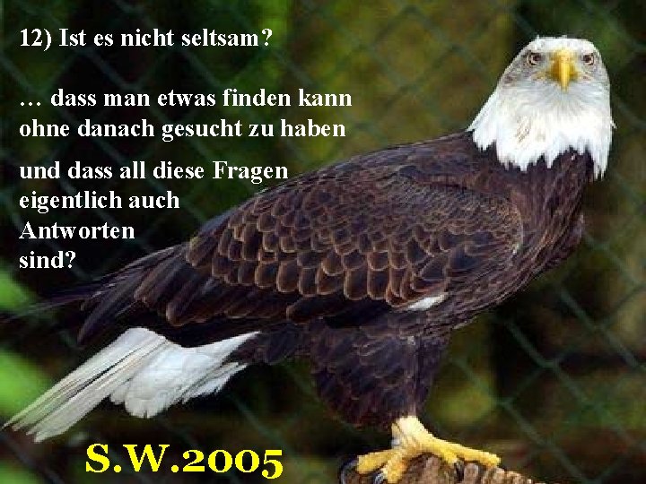 12) Ist es nicht seltsam? … dass man etwas finden kann ohne danach gesucht