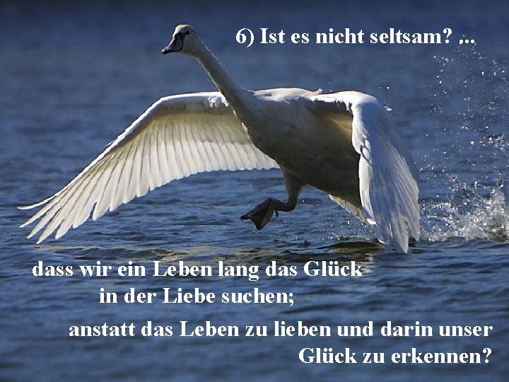 6) Ist es nicht seltsam? . . . dass wir ein Leben lang das