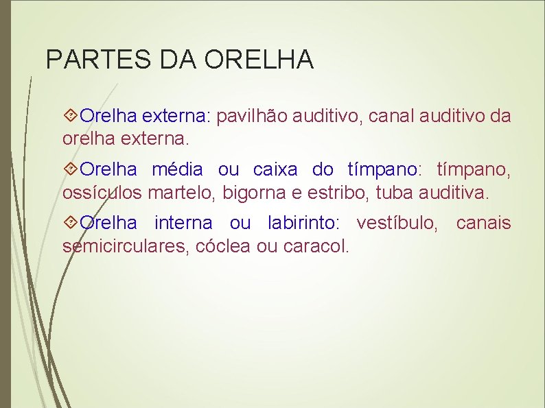 PARTES DA ORELHA Orelha externa: pavilhão auditivo, canal auditivo da orelha externa. Orelha média