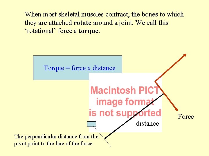 When most skeletal muscles contract, the bones to which they are attached rotate around