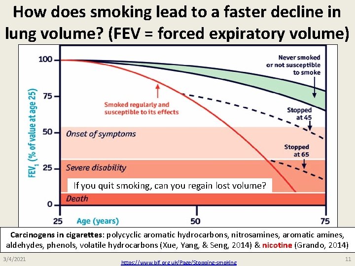 How does smoking lead to a faster decline in lung volume? (FEV = forced How does smoking lead to a faster decline in lung volume? (FEV = forced