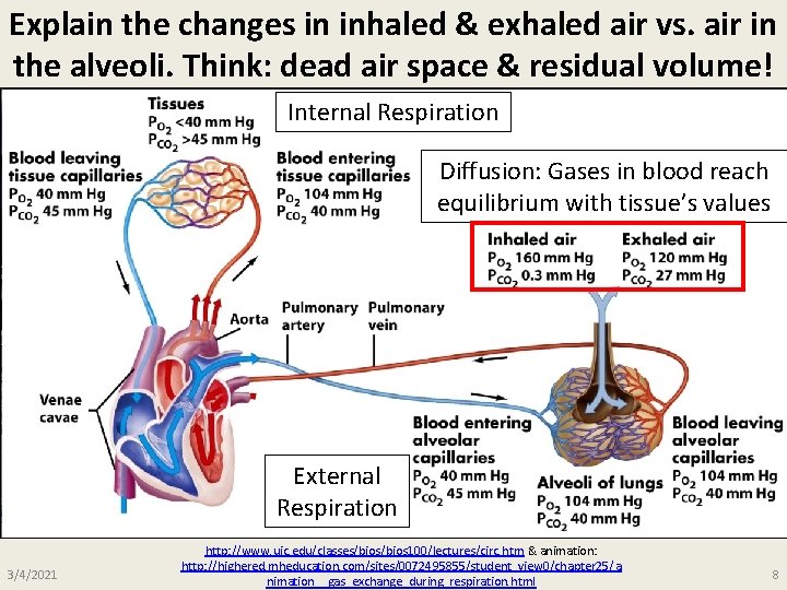 Explain the changes in inhaled & exhaled air vs. air in the alveoli. Think: Explain the changes in inhaled & exhaled air vs. air in the alveoli. Think: