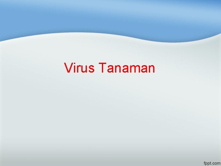 Virus Tanaman 