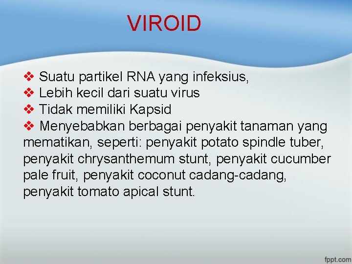 VIROID v Suatu partikel RNA yang infeksius, v Lebih kecil dari suatu virus v