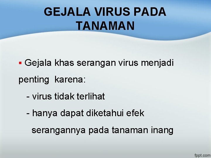 GEJALA VIRUS PADA TANAMAN § Gejala khas serangan virus menjadi penting karena: - virus