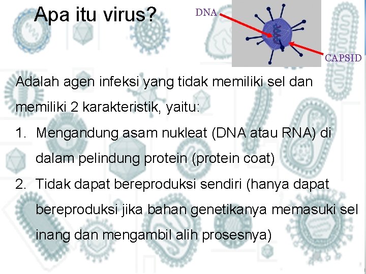 Apa itu virus? DNA CAPSID Adalah agen infeksi yang tidak memiliki sel dan memiliki