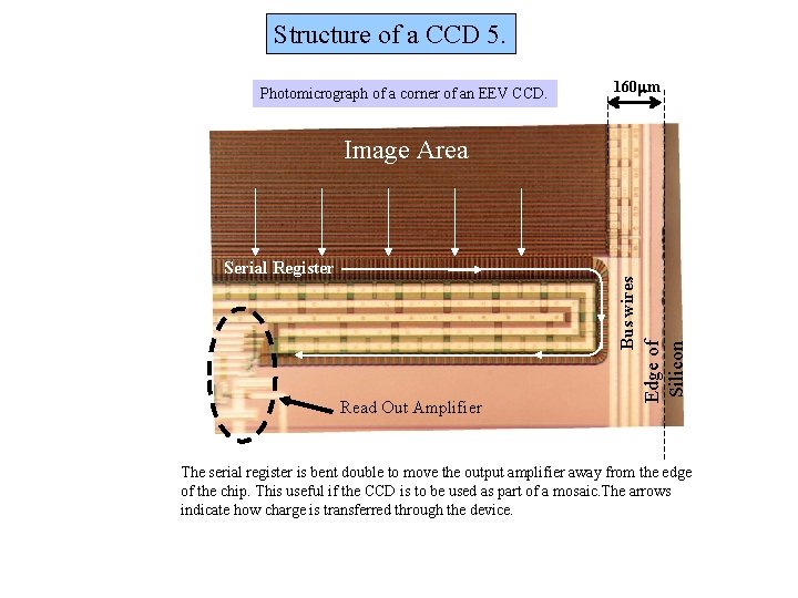 Structure of a CCD 5. Photomicrograph of a corner of an EEV CCD. 160