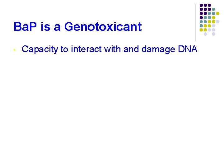 Ba. P is a Genotoxicant • Capacity to interact with and damage DNA 