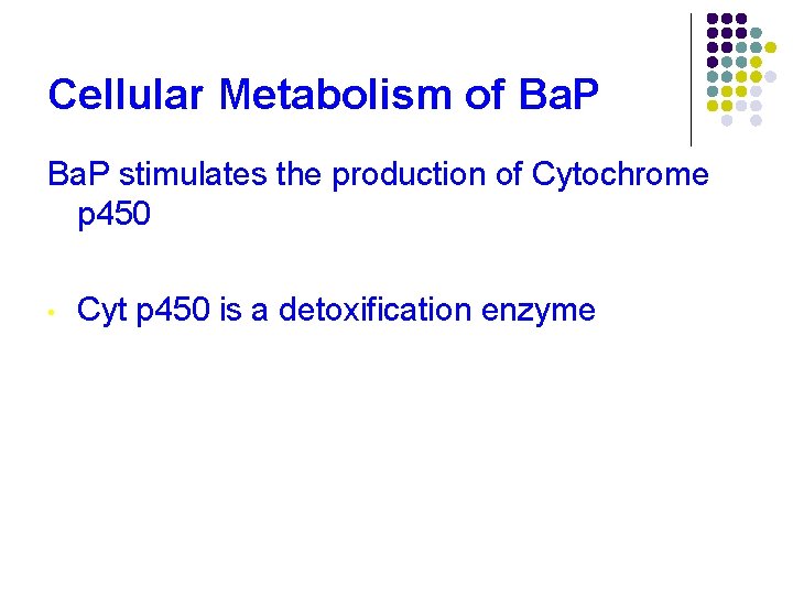 Cellular Metabolism of Ba. P stimulates the production of Cytochrome p 450 • Cyt