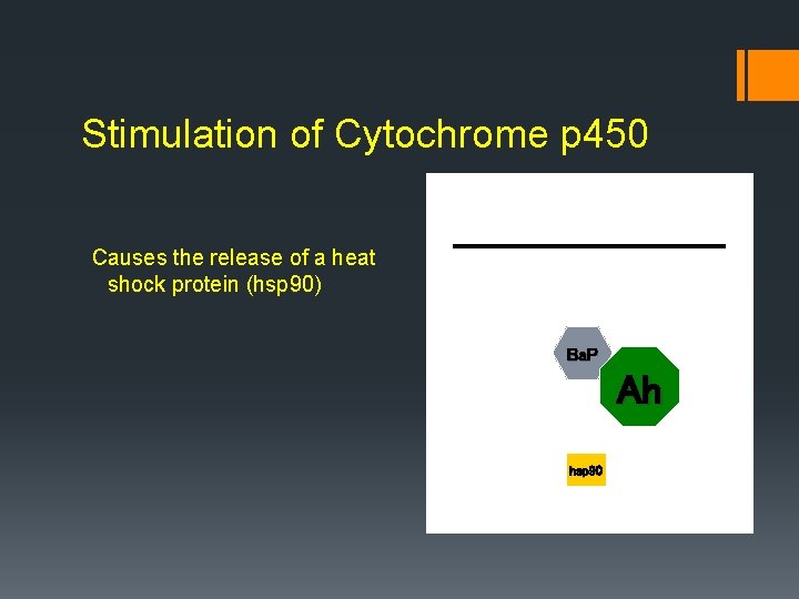 Stimulation of Cytochrome p 450 Causes the release of a heat shock protein (hsp