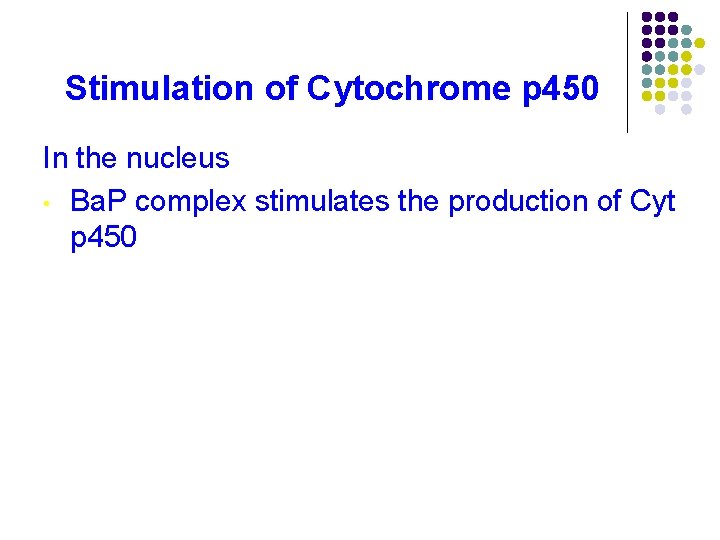 Stimulation of Cytochrome p 450 In the nucleus • Ba. P complex stimulates the