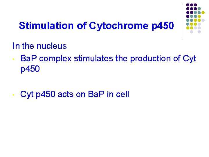 Stimulation of Cytochrome p 450 In the nucleus • Ba. P complex stimulates the