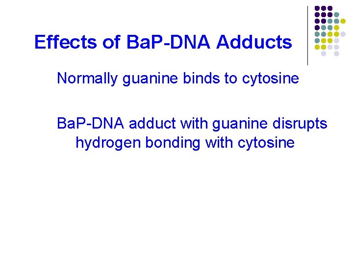 Effects of Ba. P-DNA Adducts Normally guanine binds to cytosine Ba. P-DNA adduct with