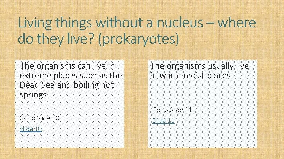 Living things without a nucleus – where do they live? (prokaryotes) The organisms can