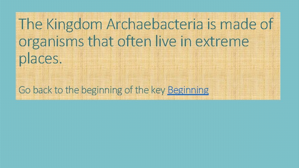 The Kingdom Archaebacteria is made of organisms that often live in extreme places. Go