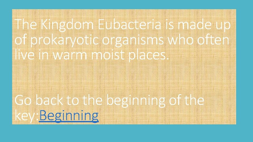 The Kingdom Eubacteria is made up of prokaryotic organisms who often live in warm