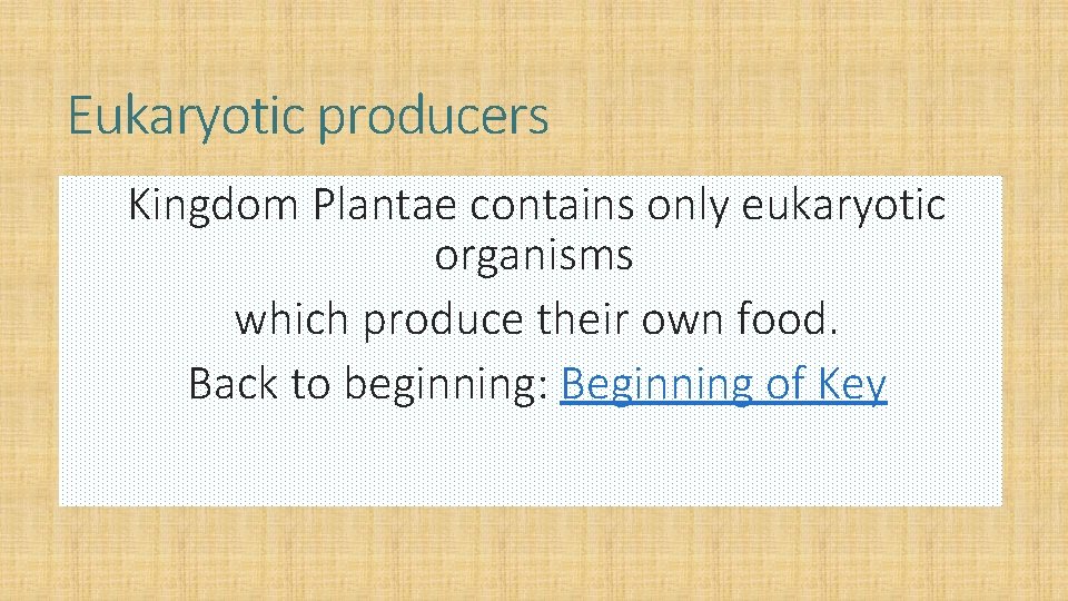 Eukaryotic producers Kingdom Plantae contains only eukaryotic organisms which produce their own food. Back