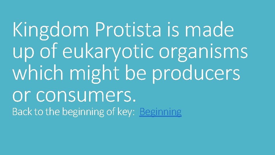 Kingdom Protista is made up of eukaryotic organisms which might be producers or consumers.