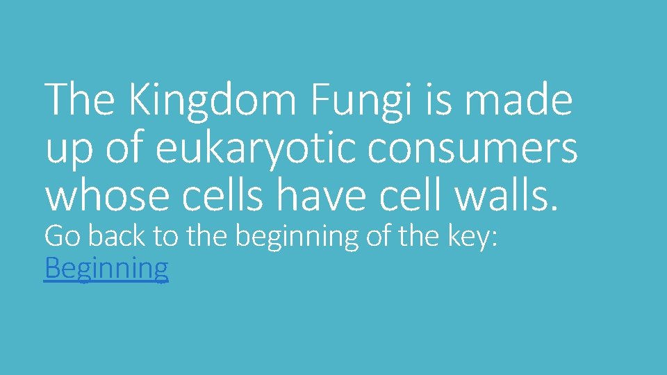 The Kingdom Fungi is made up of eukaryotic consumers whose cells have cell walls.