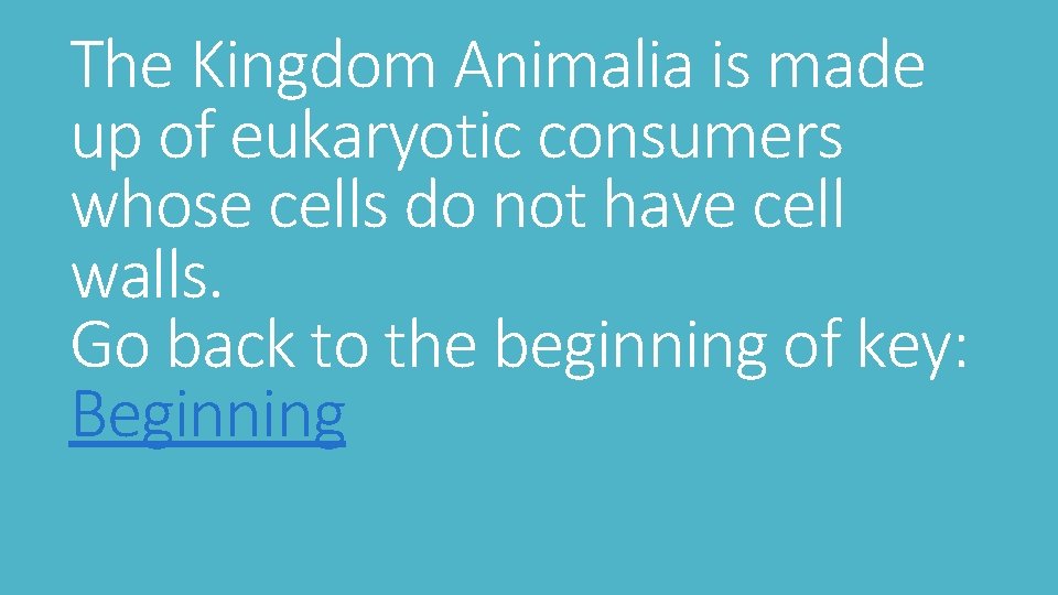 The Kingdom Animalia is made up of eukaryotic consumers whose cells do not have
