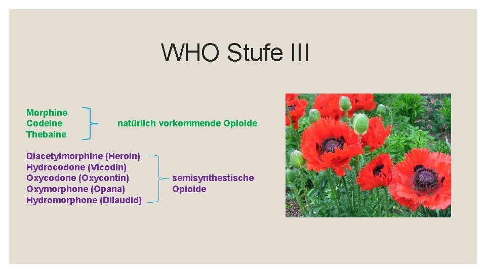 WHO Stufe III Morphine Codeine Thebaine natürlich vorkommende Opioide Diacetylmorphine (Heroin) Hydrocodone (Vicodin) Oxycodone