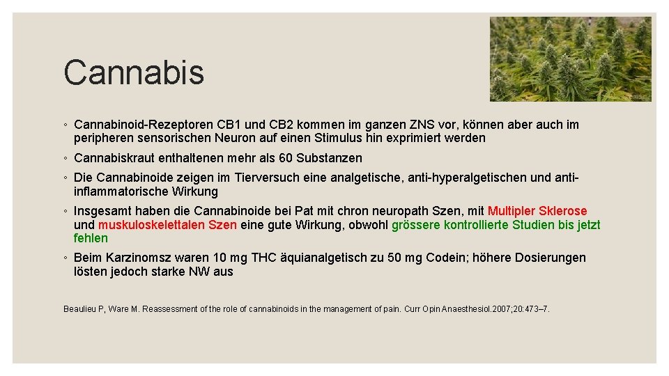 Cannabis ◦ Cannabinoid-Rezeptoren CB 1 und CB 2 kommen im ganzen ZNS vor, können
