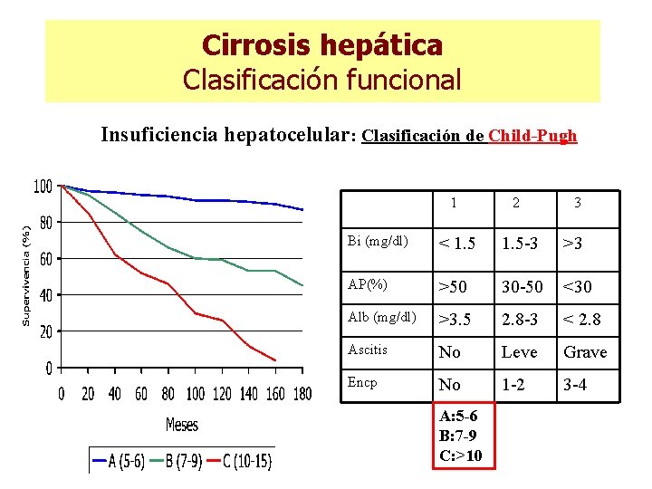 Cirrosis hepática Clasificación funcional Insuficiencia hepatocelular: Clasificación de Child-Pugh 1 2 3 Bi (mg/dl) Cirrosis hepática Clasificación funcional Insuficiencia hepatocelular: Clasificación de Child-Pugh 1 2 3 Bi (mg/dl)