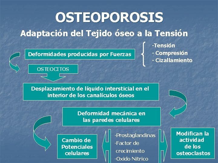 OSTEOPOROSIS Adaptación del Tejido óseo a la Tensión Deformidades producidas por Fuerzas -Tensión -