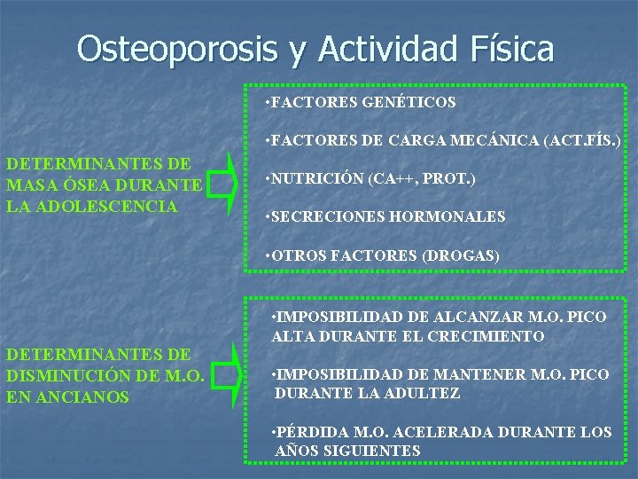 Osteoporosis y Actividad Física • FACTORES GENÉTICOS • FACTORES DE CARGA MECÁNICA (ACT. FÍS.