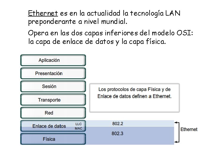 Ethernet es en la actualidad la tecnología LAN preponderante a nivel mundial. Opera en