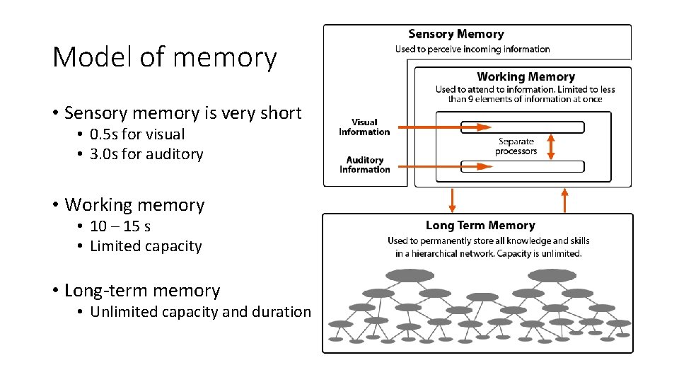 Model of memory • Sensory memory is very short • 0. 5 s for