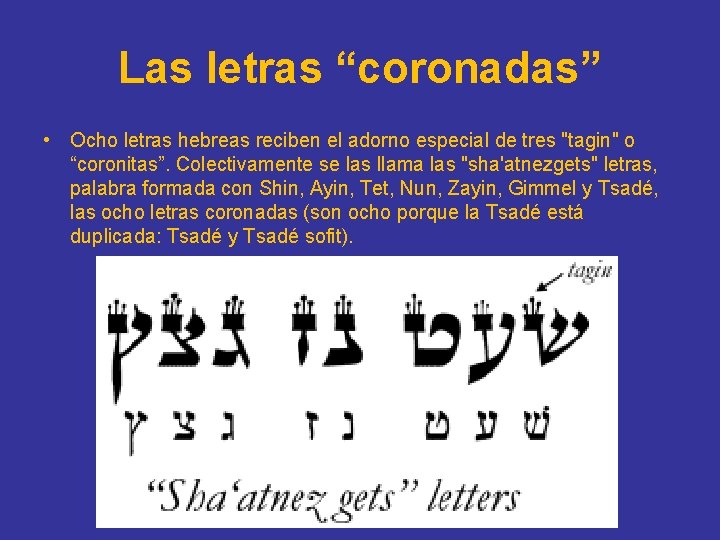 Las letras “coronadas” • Ocho letras hebreas reciben el adorno especial de tres "tagin"
