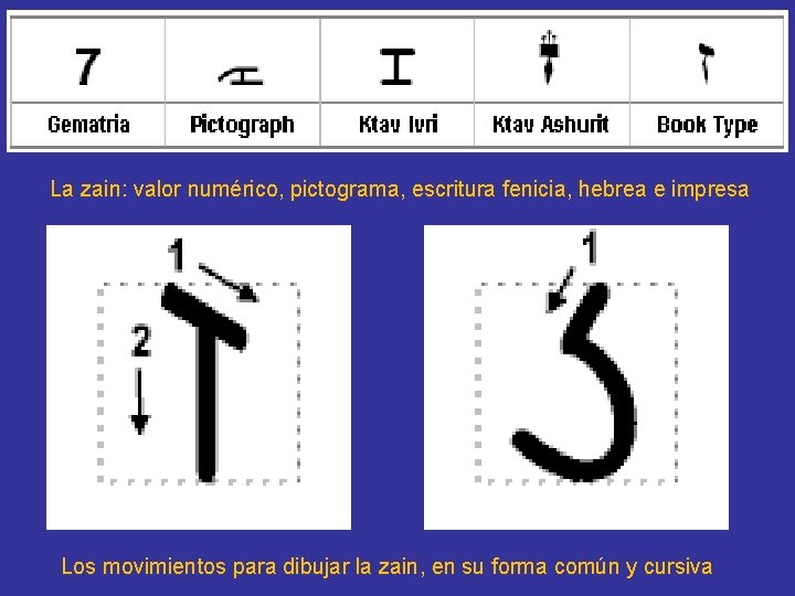 La zain: valor numérico, pictograma, escritura fenicia, hebrea e impresa Los movimientos para dibujar