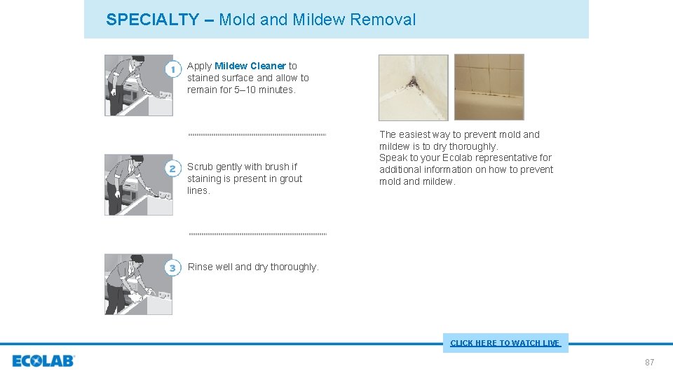 SPECIALTY – Mold and Mildew Removal Apply Mildew Cleaner to stained surface and allow