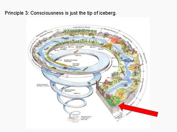  Principle 3: Consciousness is just the tip of iceberg. 