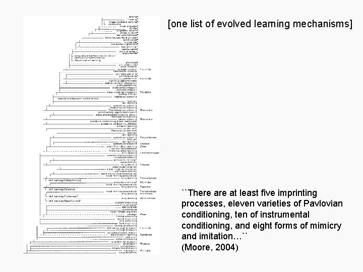 [one list of evolved learning mechanisms] ``There at least five imprinting processes, eleven varieties
