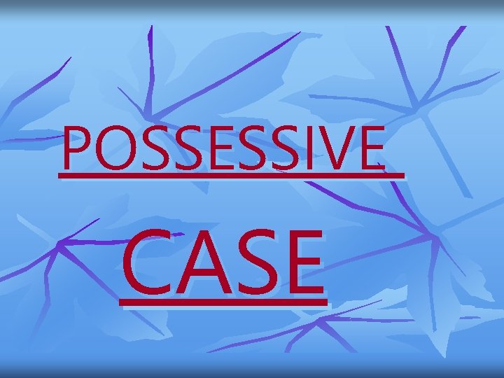 POSSESSIVE CASE 