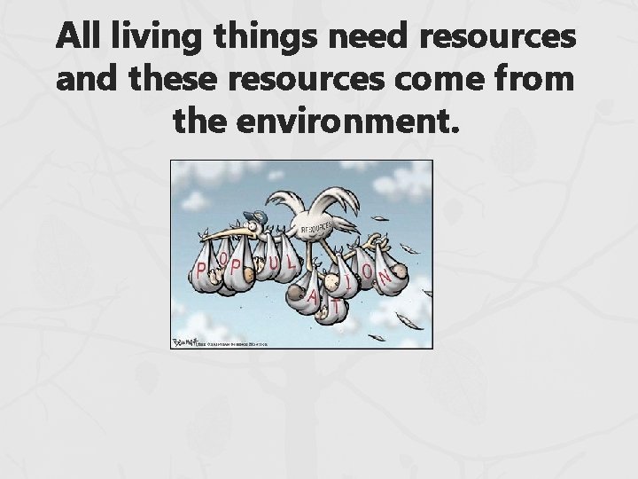 All living things need resources and these resources come from the environment. All living things need resources and these resources come from the environment.