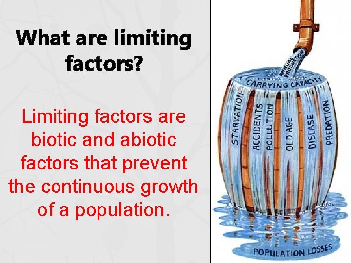 What are limiting factors? Limiting factors are biotic and abiotic factors that prevent the What are limiting factors? Limiting factors are biotic and abiotic factors that prevent the
