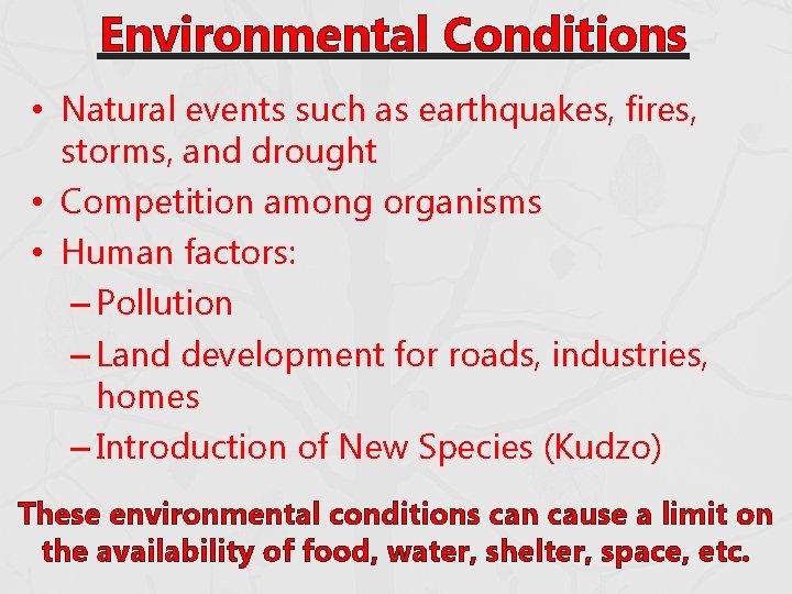 Environmental Conditions • Natural events such as earthquakes, fires, storms, and drought • Competition Environmental Conditions • Natural events such as earthquakes, fires, storms, and drought • Competition