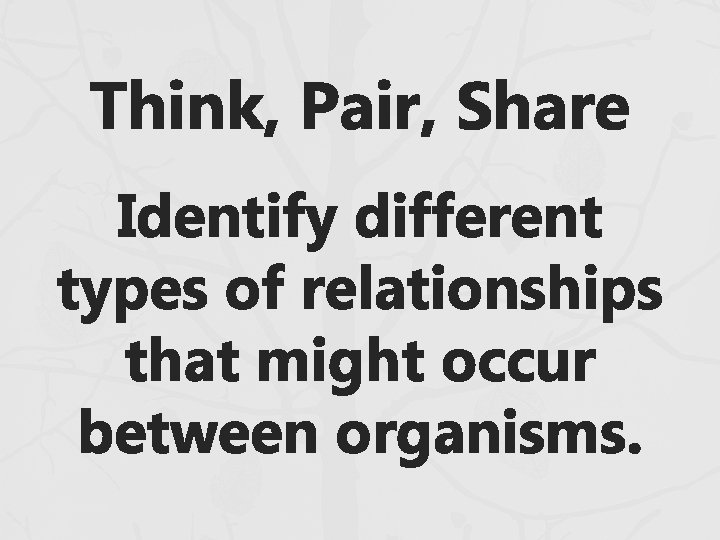 Think, Pair, Share Identify different types of relationships that might occur between organisms. Think, Pair, Share Identify different types of relationships that might occur between organisms.