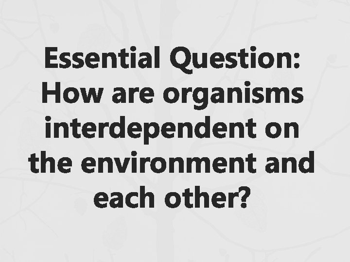 Essential Question: How are organisms interdependent on the environment and each other? Essential Question: How are organisms interdependent on the environment and each other?