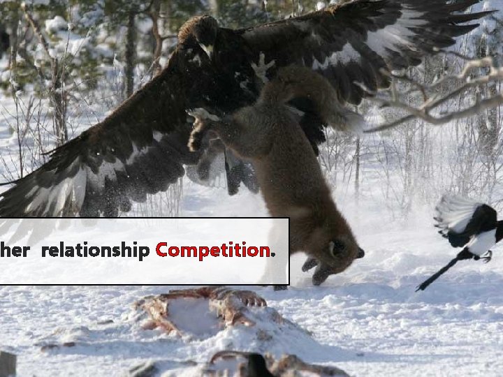 her relationship Competition. her relationship Competition.
