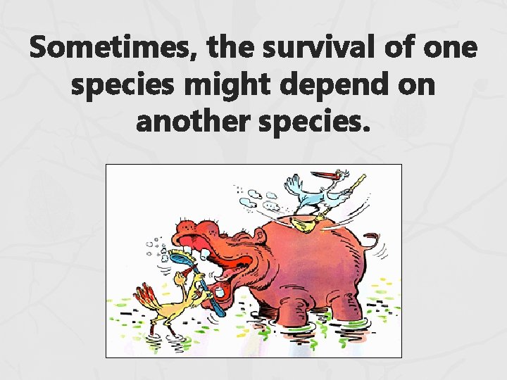 Sometimes, the survival of one species might depend on another species. Sometimes, the survival of one species might depend on another species.