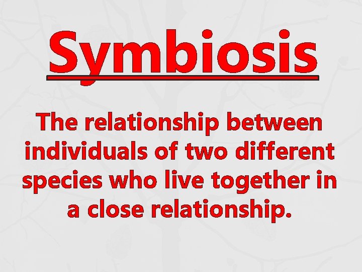 Symbiosis The relationship between individuals of two different species who live together in a Symbiosis The relationship between individuals of two different species who live together in a