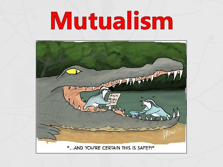 Mutualism Mutualism