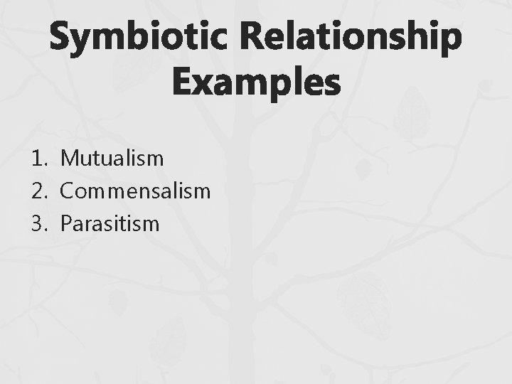 Symbiotic Relationship Examples 1. Mutualism 2. Commensalism 3. Parasitism Symbiotic Relationship Examples 1. Mutualism 2. Commensalism 3. Parasitism